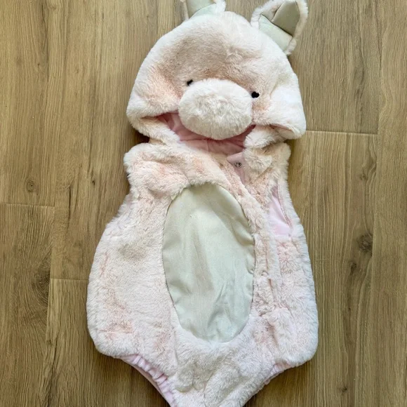Pottery Barn Kids Plush Piglet Costume in Light Pink 6-12 Months - Picture 5 of 7